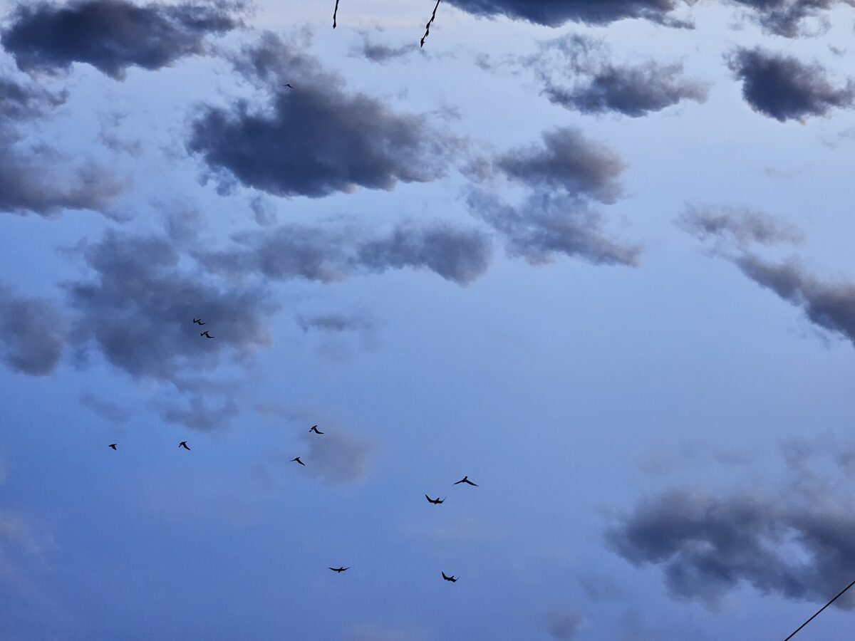 Labrador landscape