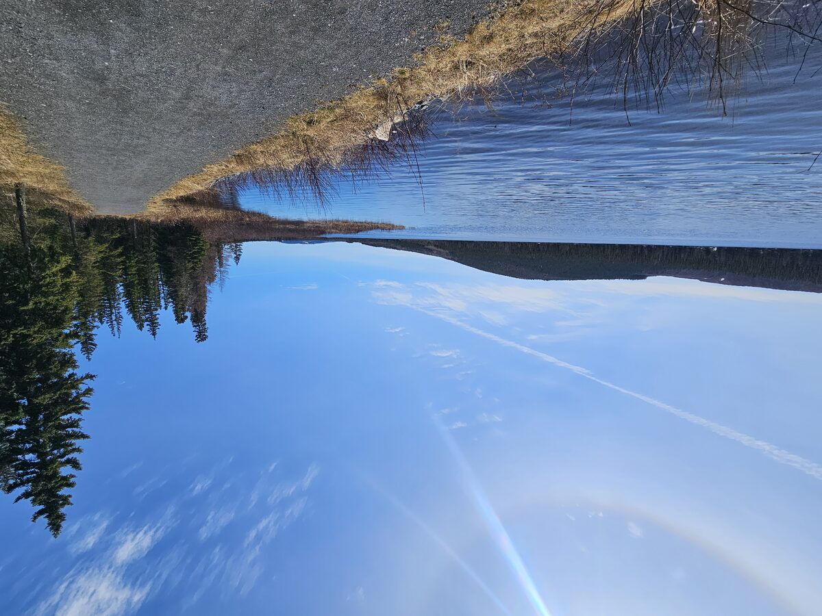 Labrador landscape
